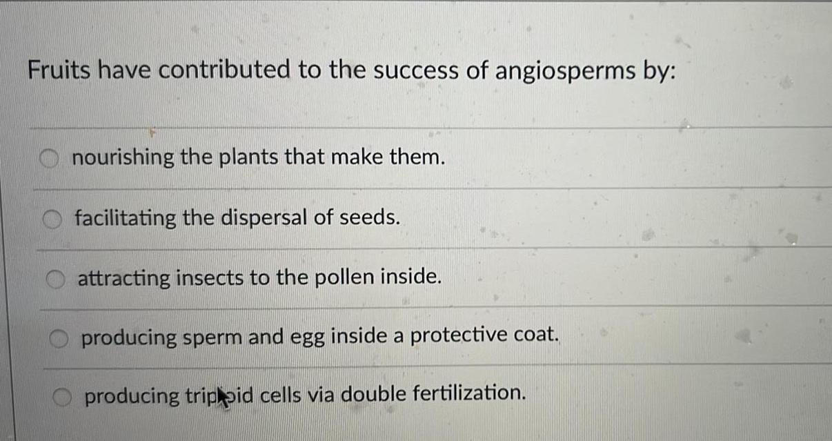 How have fruits contributed to the success of angiosperms