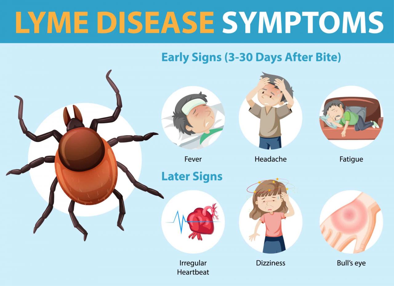 How rare is lyme disease