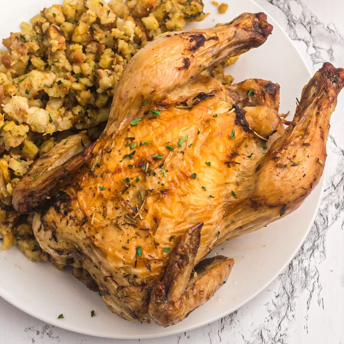 Cornish hen recipe air fryer