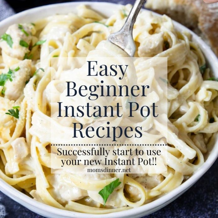 Recipes for beginners