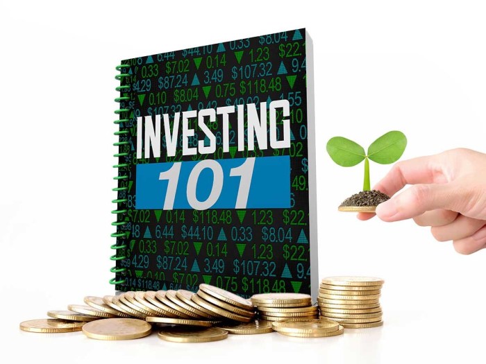 Investing for Beginners 101