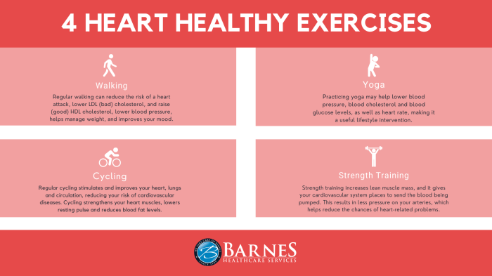 Cardiovascular Exercises for Seniors to Improve Heart Health