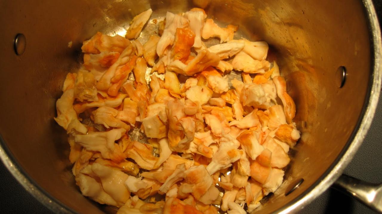 Chicken of the Woods Recipe: A Culinary Delight from the Forest