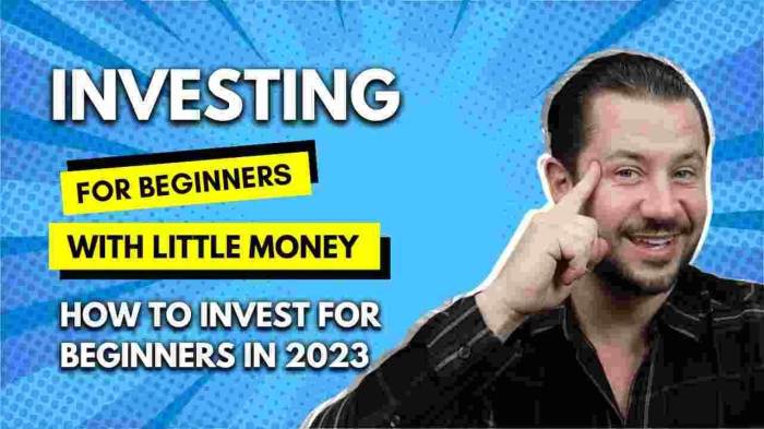 Investing for Beginners with Little Money