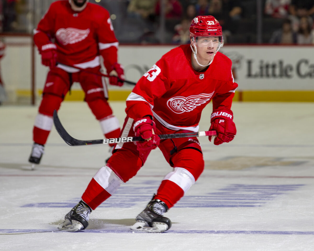 Raymond red wings