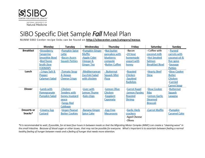 Meal Plan for Specific Dietary Restrictions