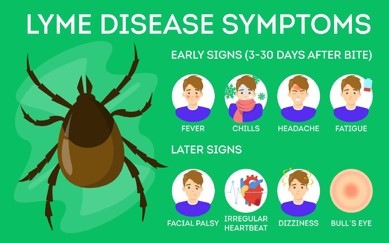 Signs of lyme disease in kids