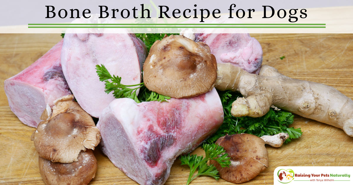 Bone broth recipe for dogs