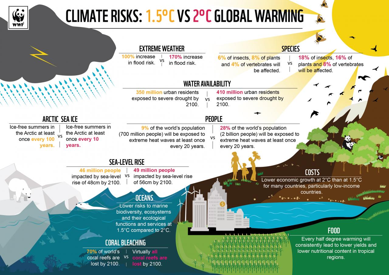 Report on climate change pdf