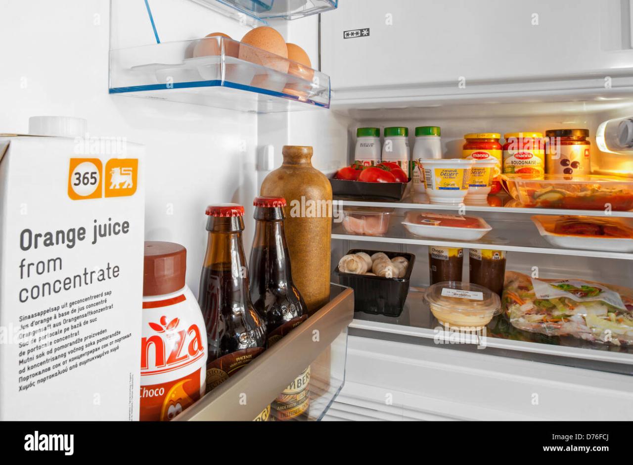 Refrigerator drink eating healthy food shutterstock stock search