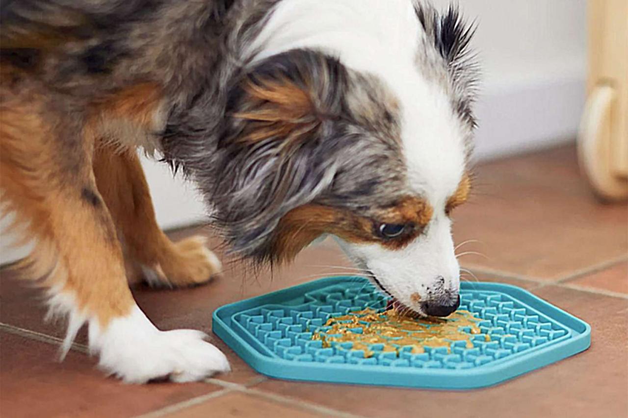 Lick mat recipes for dogs