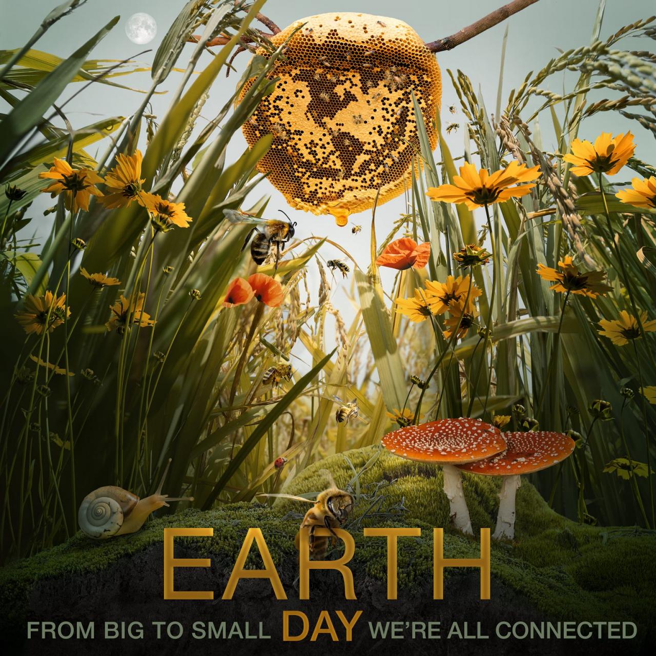 Nasa earth day posters