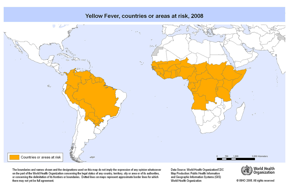 Yellow fever current event