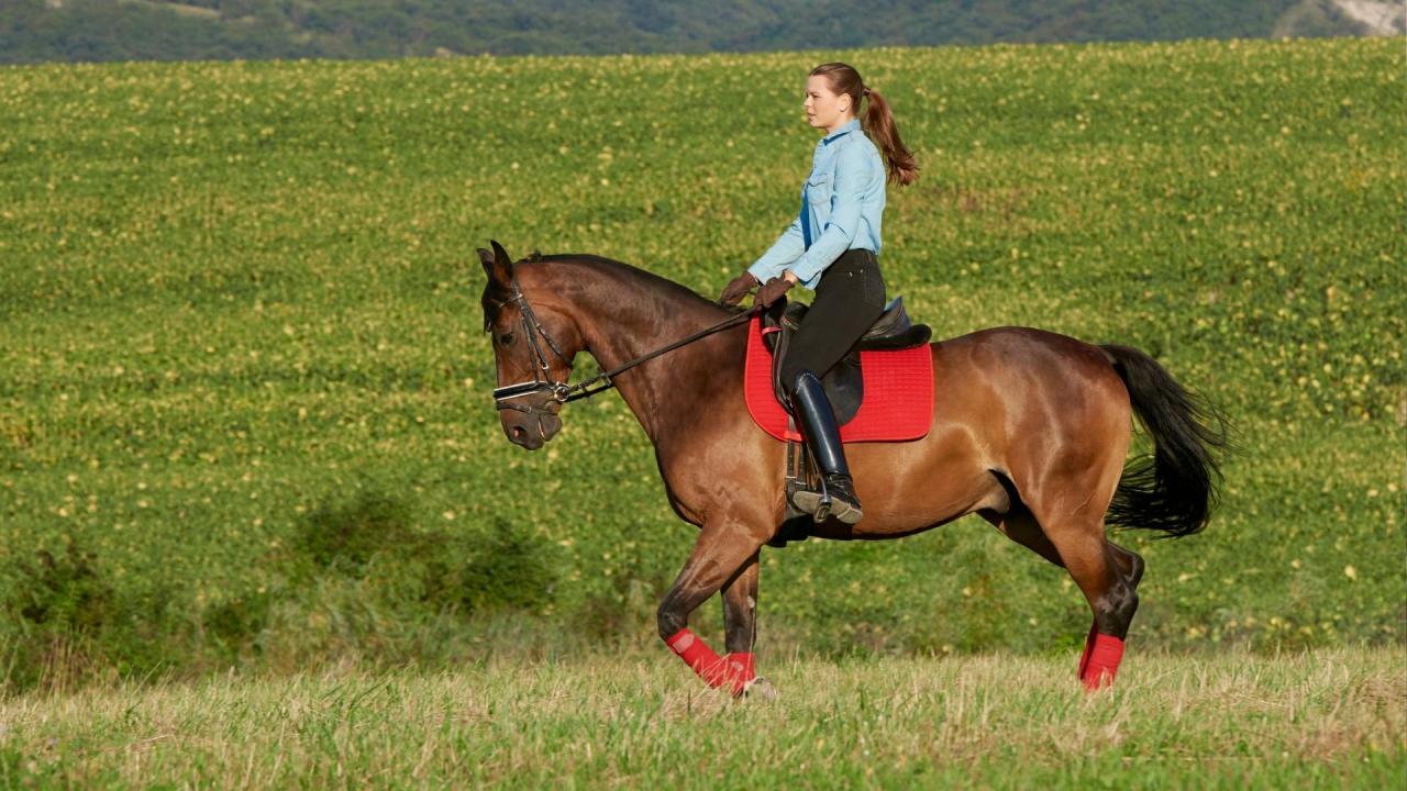 Workouts for horse riders