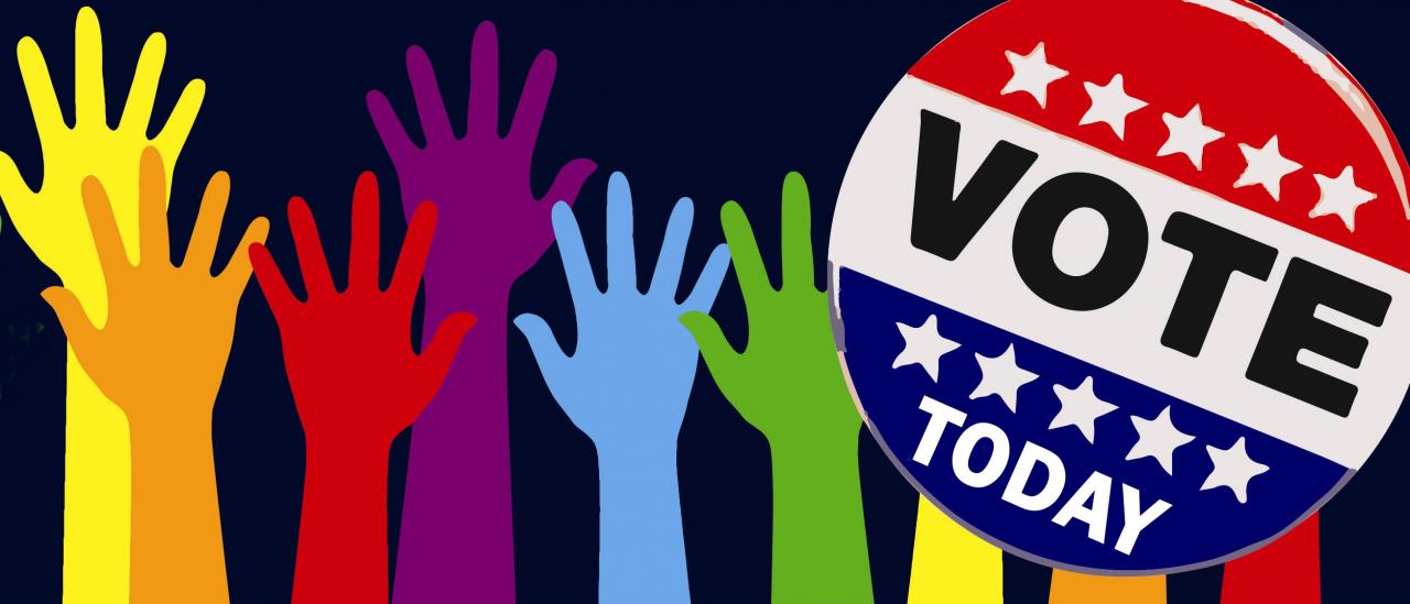 Vote Today: Understanding Voter Behavior and Key Issues