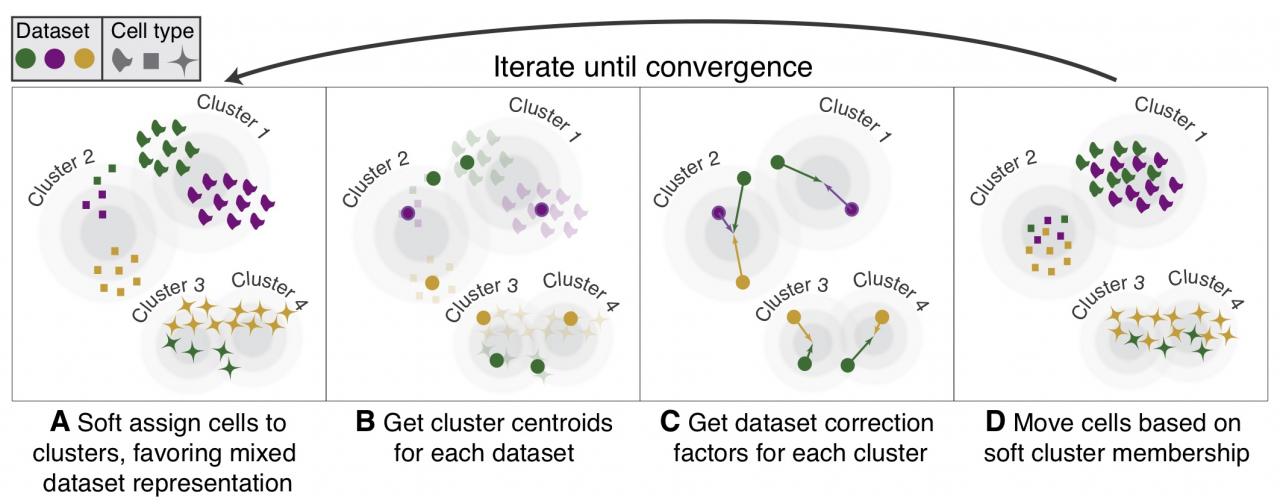 Rna seq normalization cell single scone assessment procedures selection performance sequencing analysis scrna