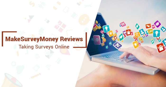 Online surveys for extra income