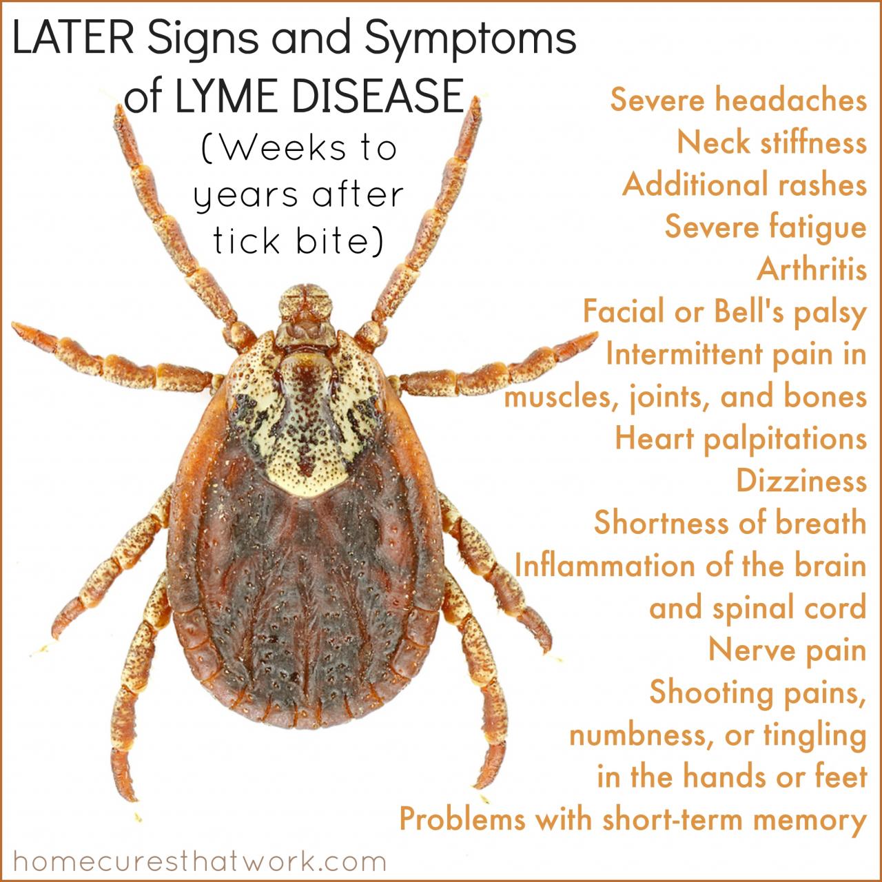 Lyme Disease: The Hidden Dental Danger