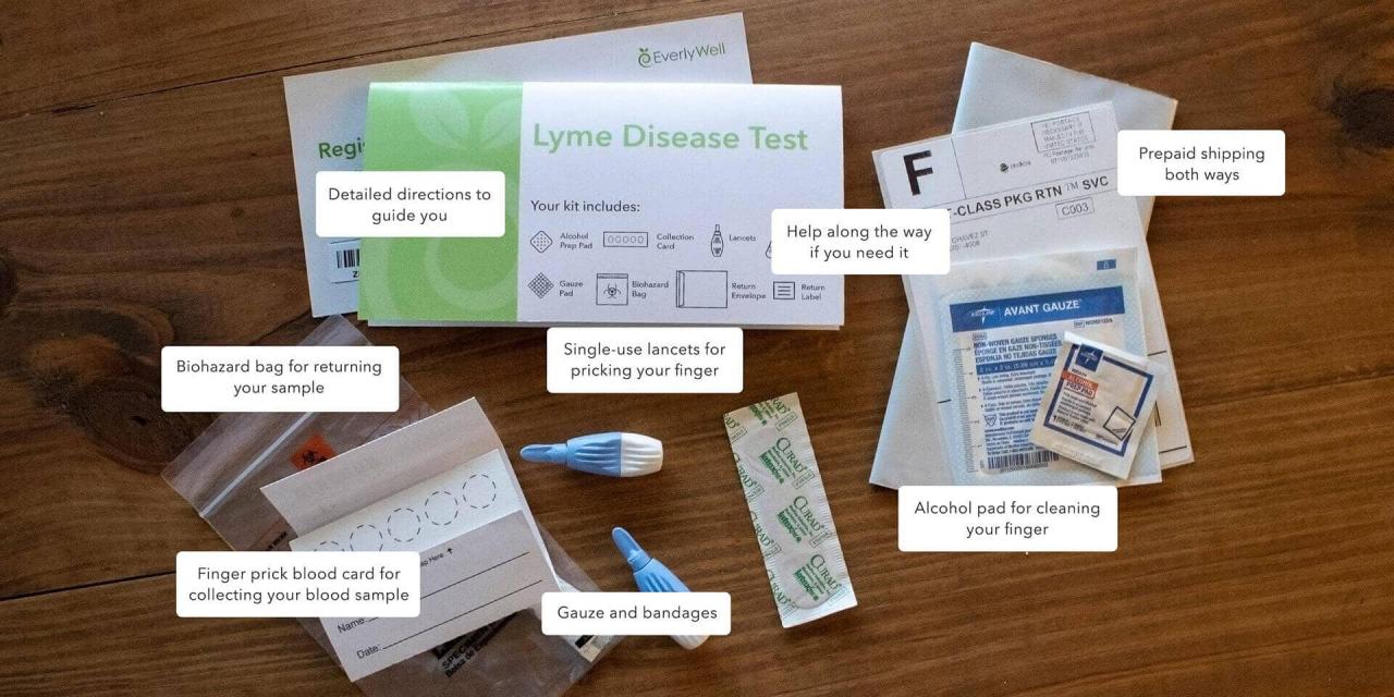 How to get tested for lyme disease