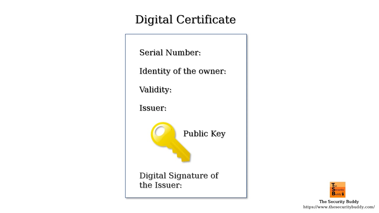 X.509 digital certificate for notary public