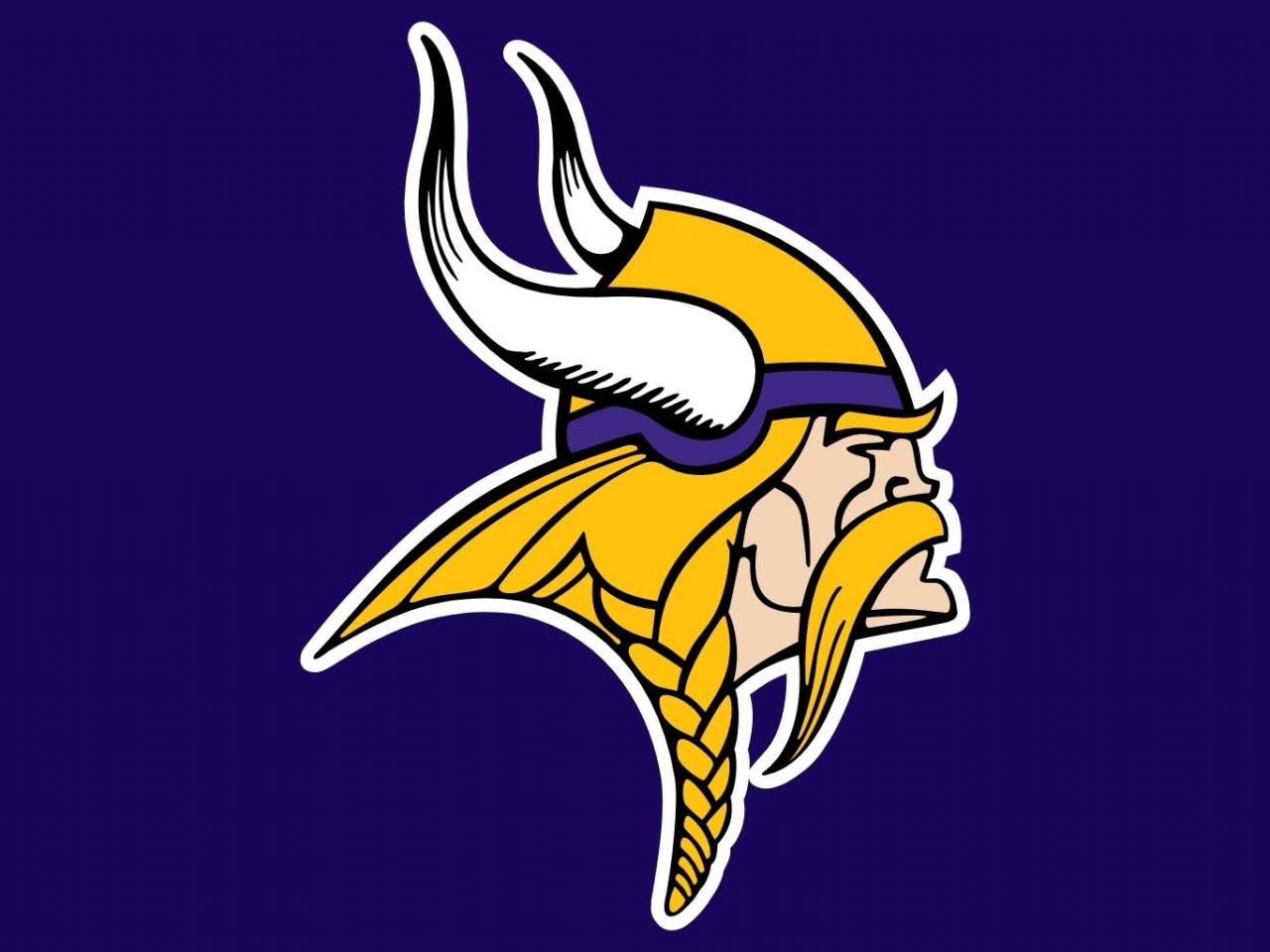 Minnesota vikings