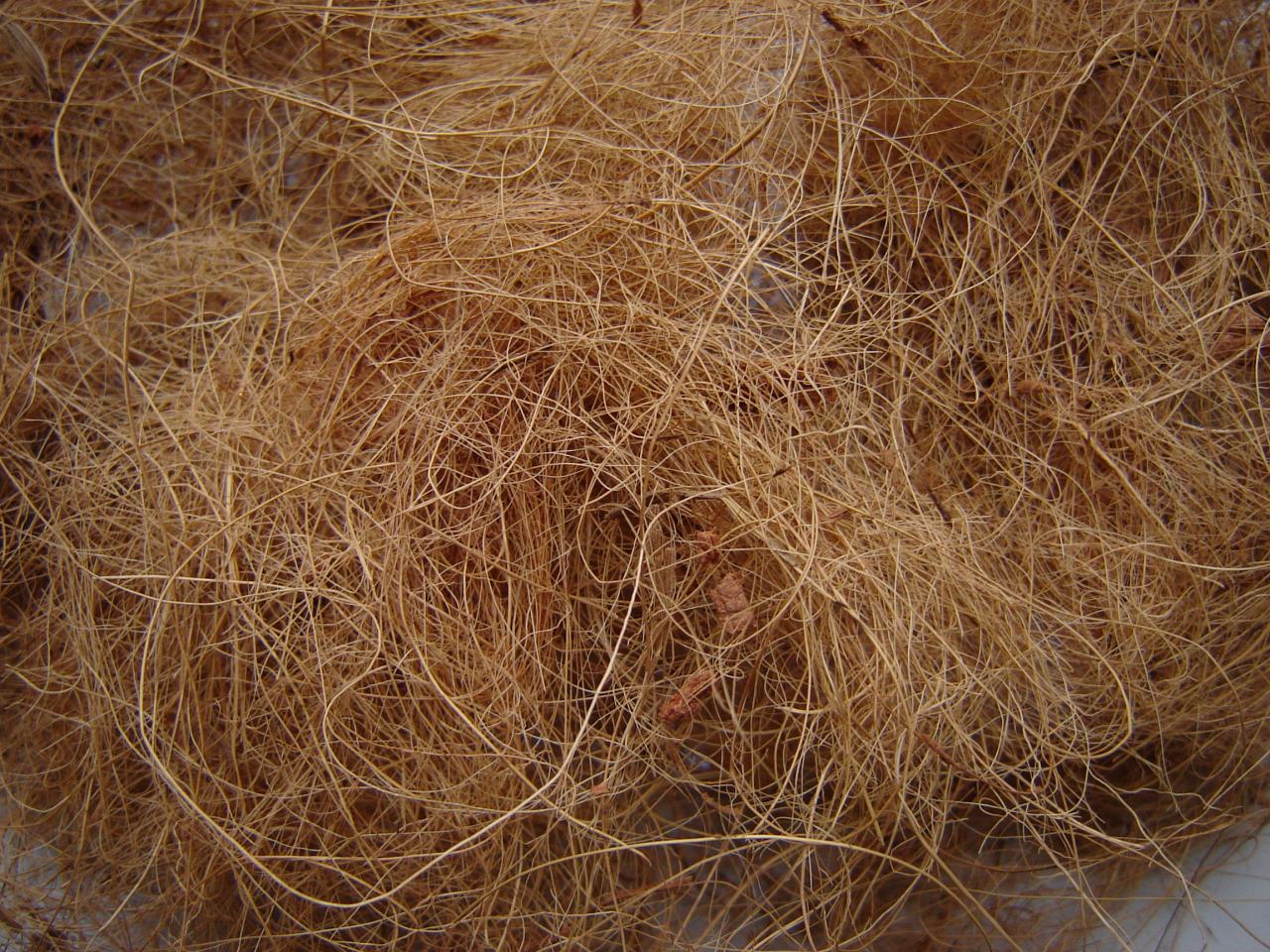 Coconut fiber