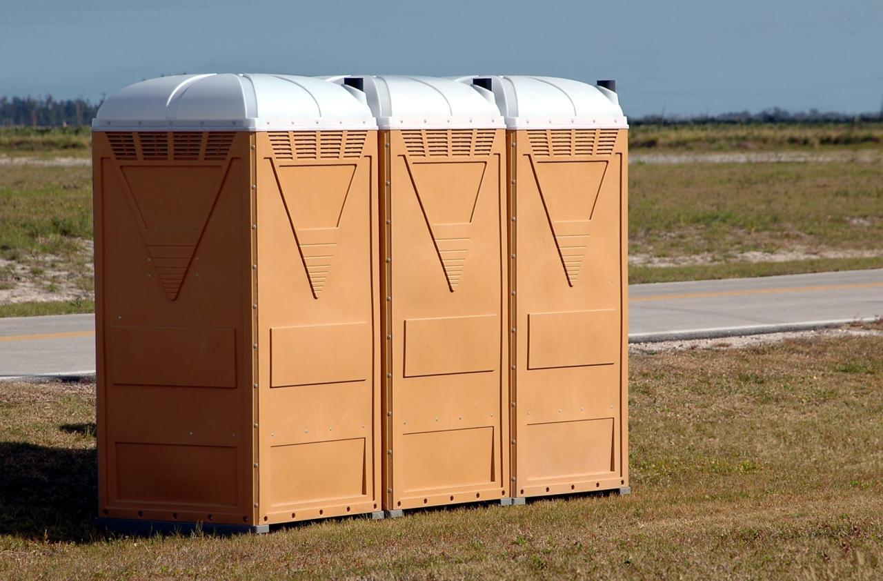 How much is a porta potty rental