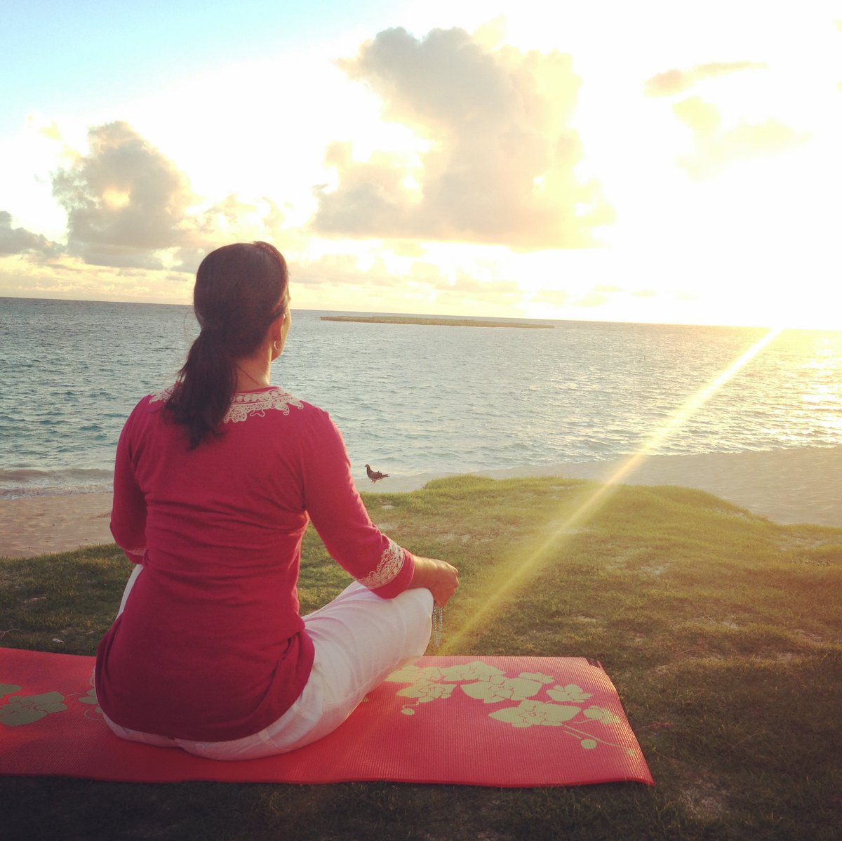 Yoga pants tulsi gabbard workout