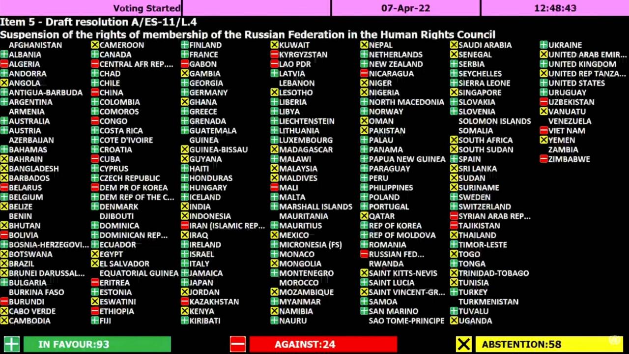 Un palestine vote results