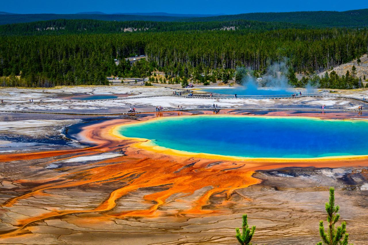 Yellowstone current events