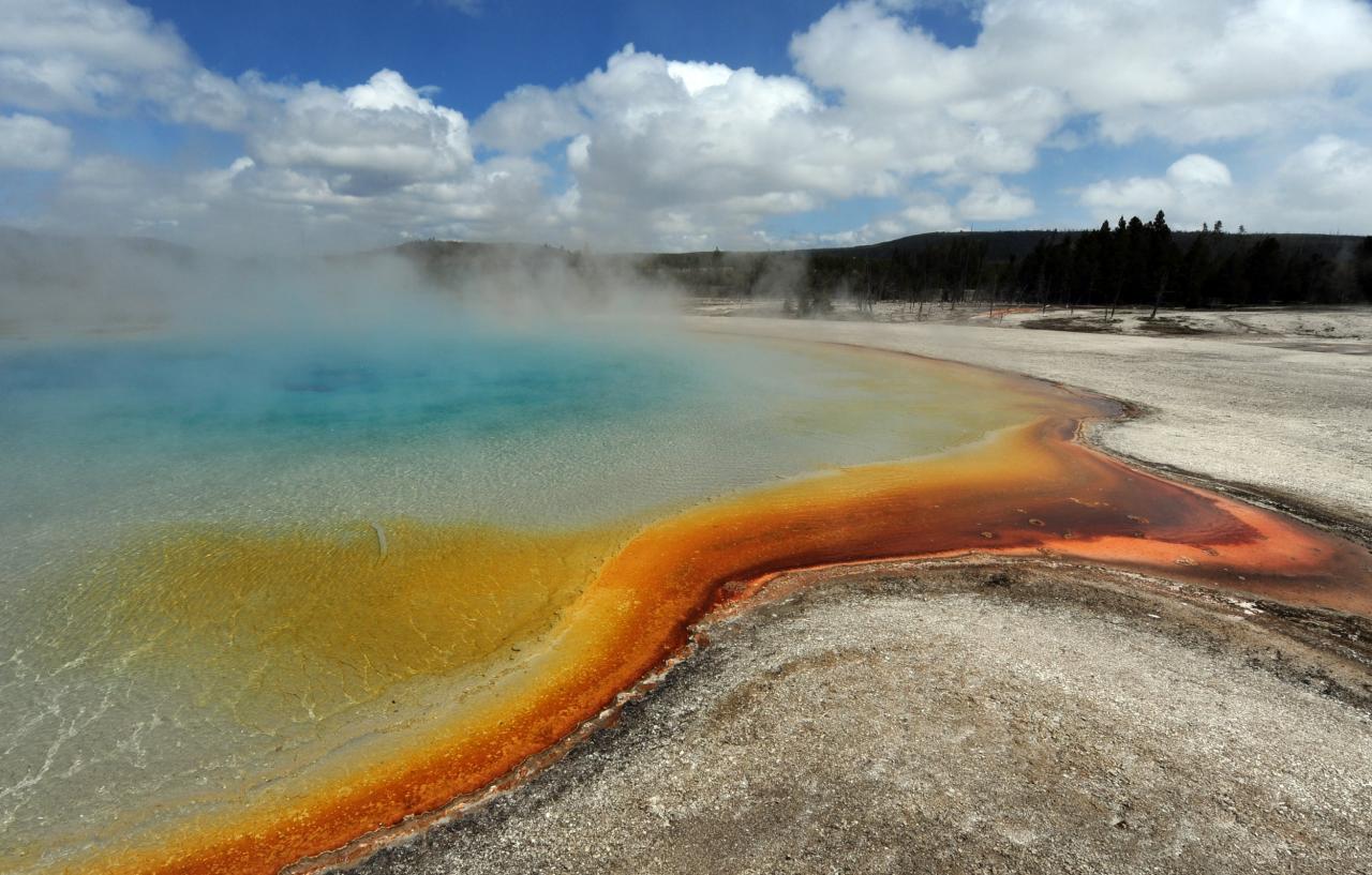 Yellowstone current events